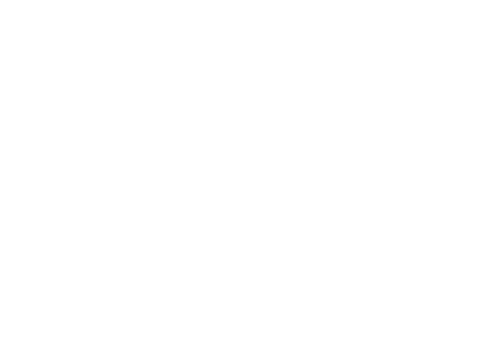 The Divorce Allies
